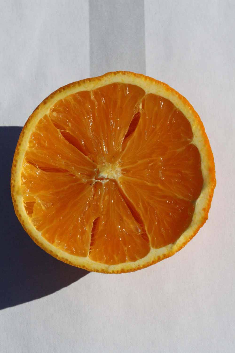              Fruit cross-section (Riverside, CA)       